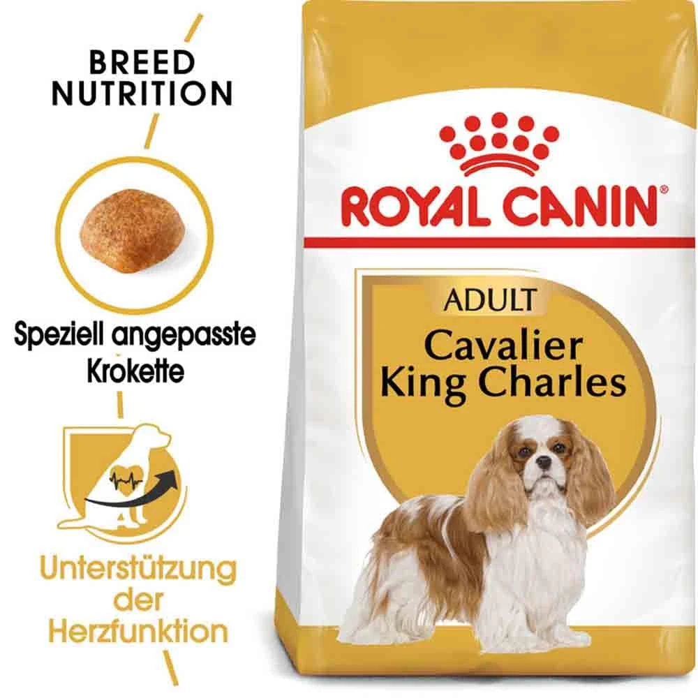 Royal Canin Cavalier King Charles Adult Hundefutter Trocken 3 Royal Canin Cavalier King Charles Adult Hundefutter Trocken