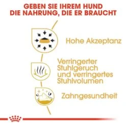 Royal Canin Chihuahua Adult Hundefutter Trocken 12 Royal Canin Chihuahua Adult Hundefutter Trocken -Haustier Alles Verkaufsgeschäft 0054718 royal canin chihuahua adult hundefutter trocken