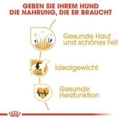 Royal Canin Cocker Adult Hundefutter Trocken 12 Royal Canin Cocker Adult Hundefutter Trocken -Haustier Alles Verkaufsgeschäft 0054727 royal canin cocker adult hundefutter trocken