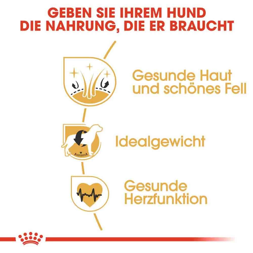 Royal Canin Cocker Adult Hundefutter Trocken 6 Royal Canin Cocker Adult Hundefutter Trocken – Bild 4