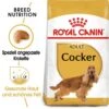 Royal Canin Cocker Adult Hundefutter Trocken -Haustier Alles Verkaufsgeschäft 0054728 royal canin cocker adult hundefutter trocken
