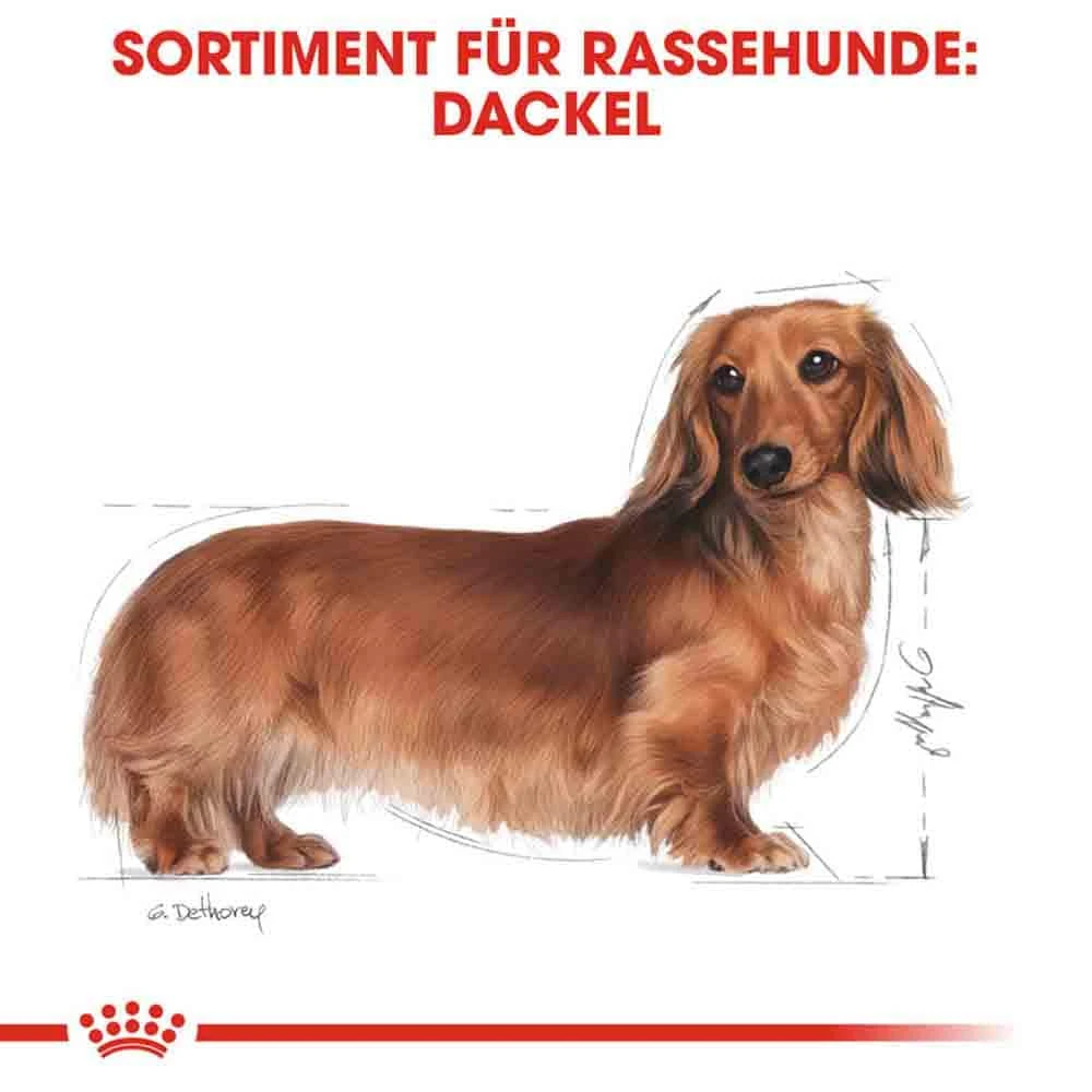 Royal Canin Dachshund Adult Hundefutter Trocken 5 Royal Canin Dachshund Adult Hundefutter Trocken – Bild 3