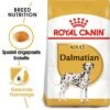 Royal Canin Dalmatian Adult Hundefutter Trocken -Haustier Alles Verkaufsgeschäft 0054740 royal canin dalmatian adult hundefutter trocken