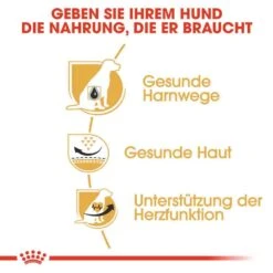 Royal Canin Dalmatian Adult Hundefutter Trocken -Haustier Alles Verkaufsgeschäft 0054742 royal canin dalmatian adult hundefutter trocken