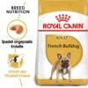 Royal Canin French Bulldog Adult Hundefutter Trocken 1 Royal Canin French Bulldog Adult Hundefutter Trocken -Haustier Alles Verkaufsgeschäft 0054748 royal canin french bulldog adult hundefutter trocken