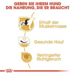 Royal Canin French Bulldog Adult Hundefutter Trocken 12 Royal Canin French Bulldog Adult Hundefutter Trocken -Haustier Alles Verkaufsgeschäft 0054750 royal canin french bulldog adult hundefutter trocken