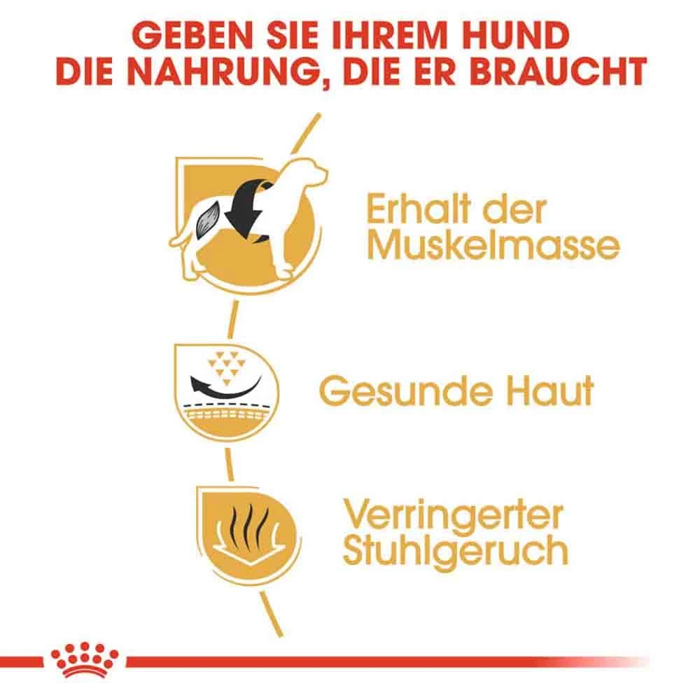 Royal Canin French Bulldog Adult Hundefutter Trocken 6 Royal Canin French Bulldog Adult Hundefutter Trocken – Bild 4