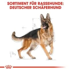 Royal Canin German Shepherd Adult Hundefutter Trocken -Haustier Alles Verkaufsgeschäft 0054756 royal canin german shepherd adult hundefutter trocken