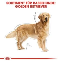 Royal Canin Golden Retriever Adult Hundefutter Trocken -Haustier Alles Verkaufsgeschäft 0054761 royal canin golden retriever adult hundefutter trocken