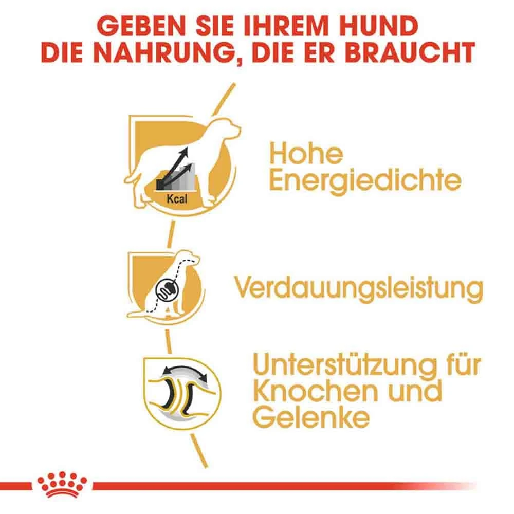 Royal Canin Great Dane Adult Hundefutter Trocken 6 Royal Canin Great Dane Adult Hundefutter Trocken – Bild 4