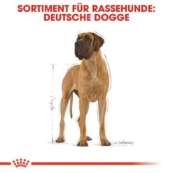 Royal Canin Great Dane Adult Hundefutter Trocken 11 Royal Canin Great Dane Adult Hundefutter Trocken -Haustier Alles Verkaufsgeschäft 0054772 royal canin great dane adult hundefutter trocken