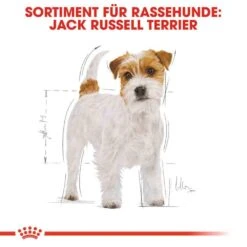 Royal Canin Jack Russell Terrier Adult Hundefutter Trocken -Haustier Alles Verkaufsgeschäft 0054774 royal canin jack russell terrier adult hundefutter trocken