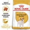 Royal Canin Jack Russell Terrier Adult Hundefutter Trocken 2 Royal Canin Jack Russell Terrier Adult Hundefutter Trocken -Haustier Alles Verkaufsgeschäft 0054776 royal canin jack russell terrier adult hundefutter trocken