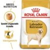 Royal Canin Labrador Retriever Adult Hundefutter Trocken -Haustier Alles Verkaufsgeschäft 0054780 royal canin labrador retriever adult hundefutter trocken
