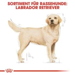 Royal Canin Labrador Retriever Adult Hundefutter Trocken -Haustier Alles Verkaufsgeschäft 0054782 royal canin labrador retriever adult hundefutter trocken