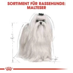 Royal Canin Maltese Adult Hundefutter Trocken 11 Royal Canin Maltese Adult Hundefutter Trocken -Haustier Alles Verkaufsgeschäft 0054788 royal canin maltese adult hundefutter trocken