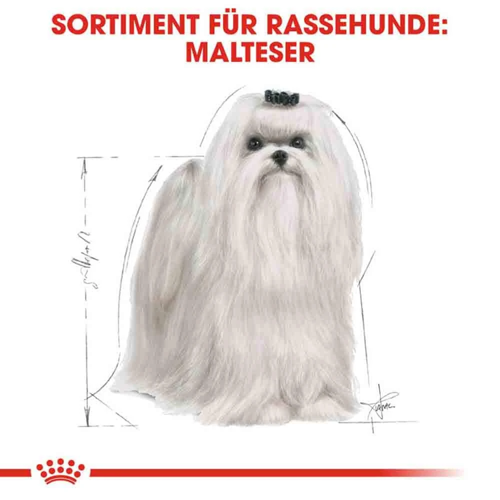 Royal Canin Maltese Adult Hundefutter Trocken 5 Royal Canin Maltese Adult Hundefutter Trocken – Bild 3
