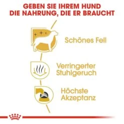 Royal Canin Maltese Adult Hundefutter Trocken 12 Royal Canin Maltese Adult Hundefutter Trocken -Haustier Alles Verkaufsgeschäft 0054789 royal canin maltese adult hundefutter trocken