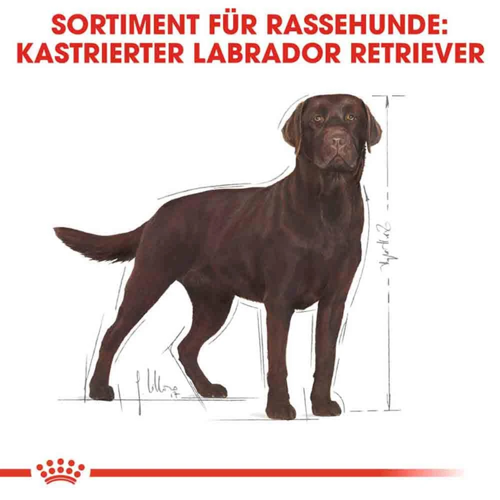 Royal Canin Labrador Retriever Adult Sterilised Trockenfutter Für Kastrierte Hunde 5 Royal Canin Labrador Retriever Adult Sterilised Trockenfutter Für Kastrierte Hunde – Bild 3