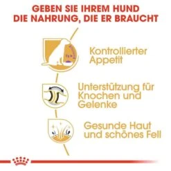 Royal Canin Labrador Retriever Adult Sterilised Trockenfutter Für Kastrierte Hunde 12 Royal Canin Labrador Retriever Adult Sterilised Trockenfutter Für Kastrierte Hunde -Haustier Alles Verkaufsgeschäft 0054796 royal canin labrador retriever adult sterilised trockenfutter fur kastrierte hunde