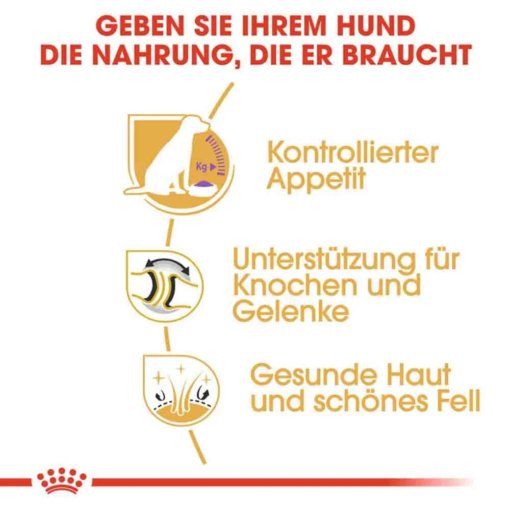 Royal Canin Labrador Retriever Adult Sterilised Trockenfutter Für Kastrierte Hunde 6 Royal Canin Labrador Retriever Adult Sterilised Trockenfutter Für Kastrierte Hunde – Bild 4