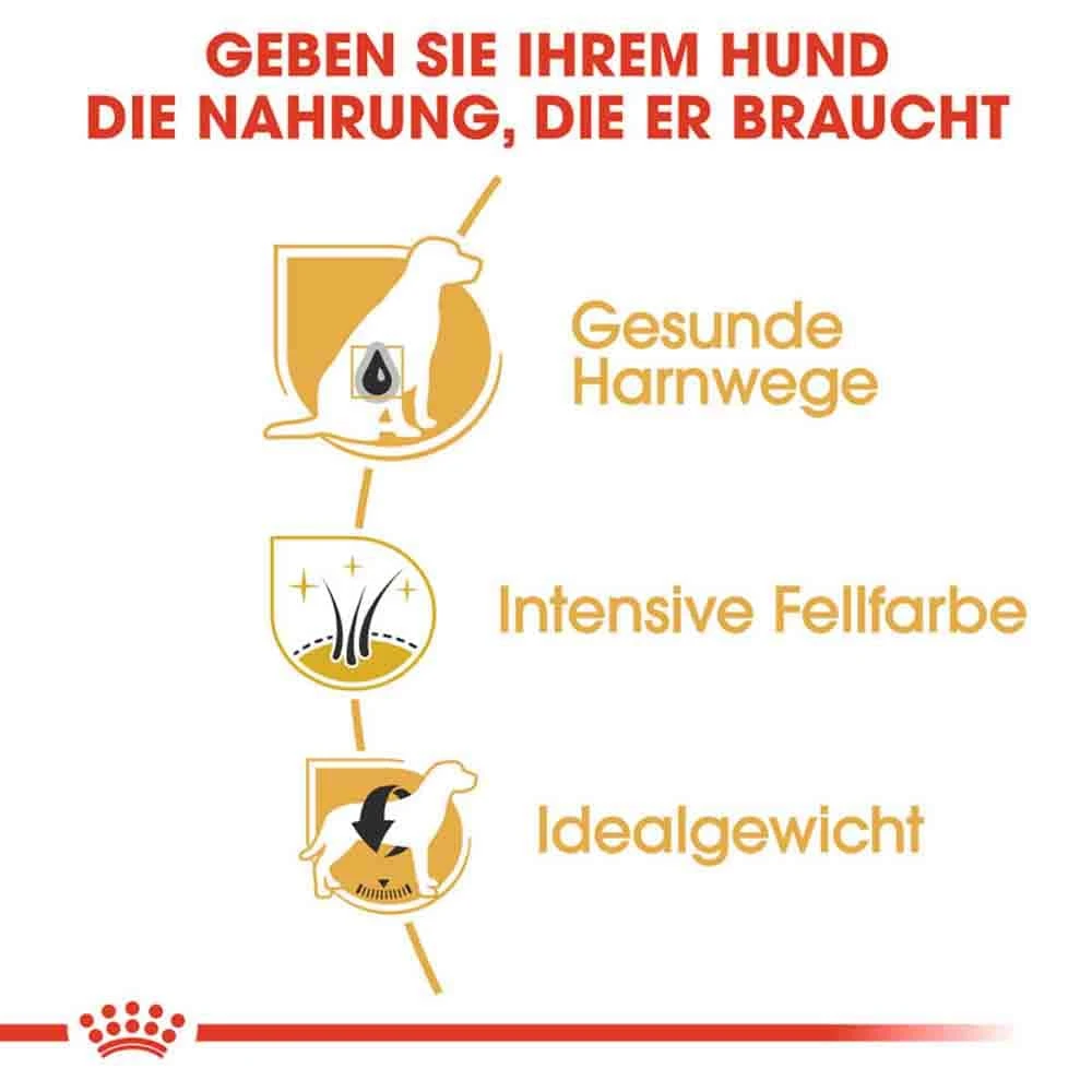 Royal Canin Miniature Schnauzer Adult Hundefutter Trocken 6 Royal Canin Miniature Schnauzer Adult Hundefutter Trocken – Bild 4