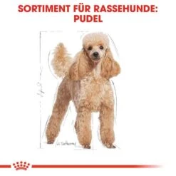 Royal Canin Poodle Adult Hundefutter Trocken 11 Royal Canin Poodle Adult Hundefutter Trocken -Haustier Alles Verkaufsgeschäft 0054809 royal canin poodle adult hundefutter trocken