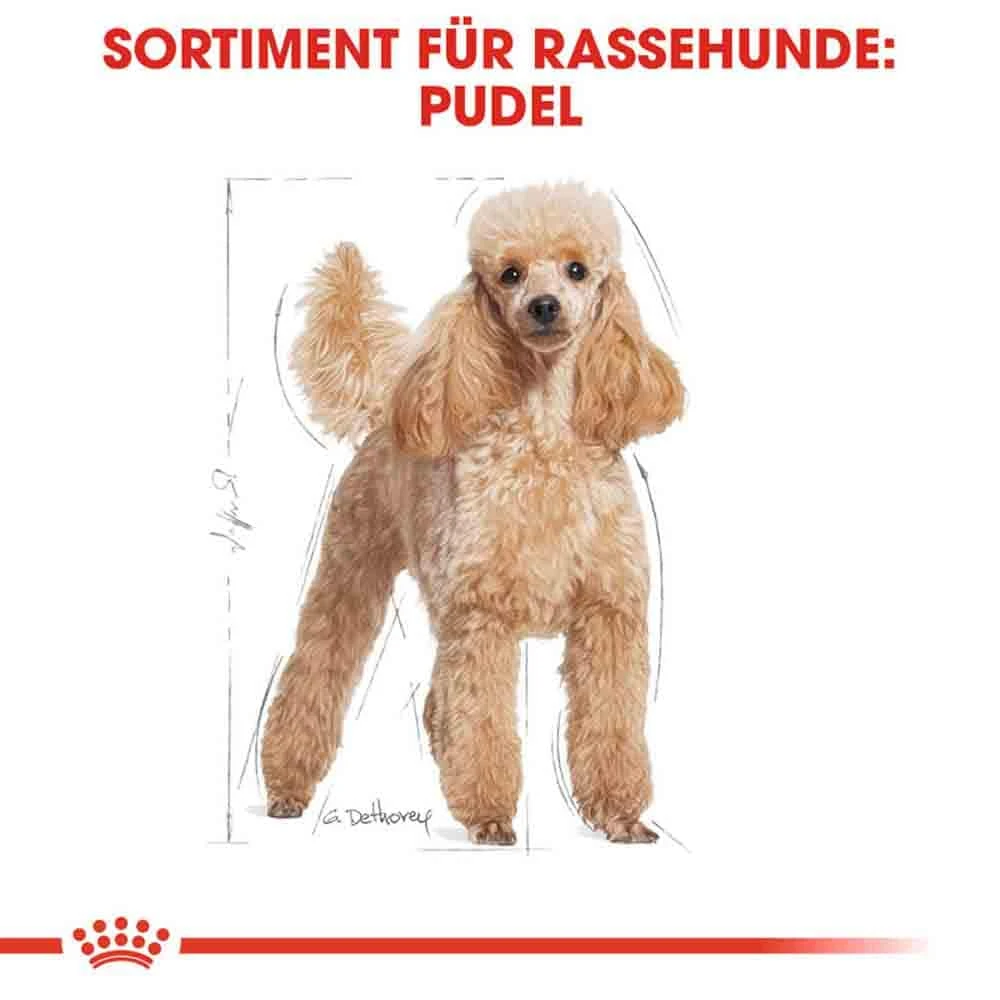 Royal Canin Poodle Adult Hundefutter Trocken 5 Royal Canin Poodle Adult Hundefutter Trocken – Bild 3
