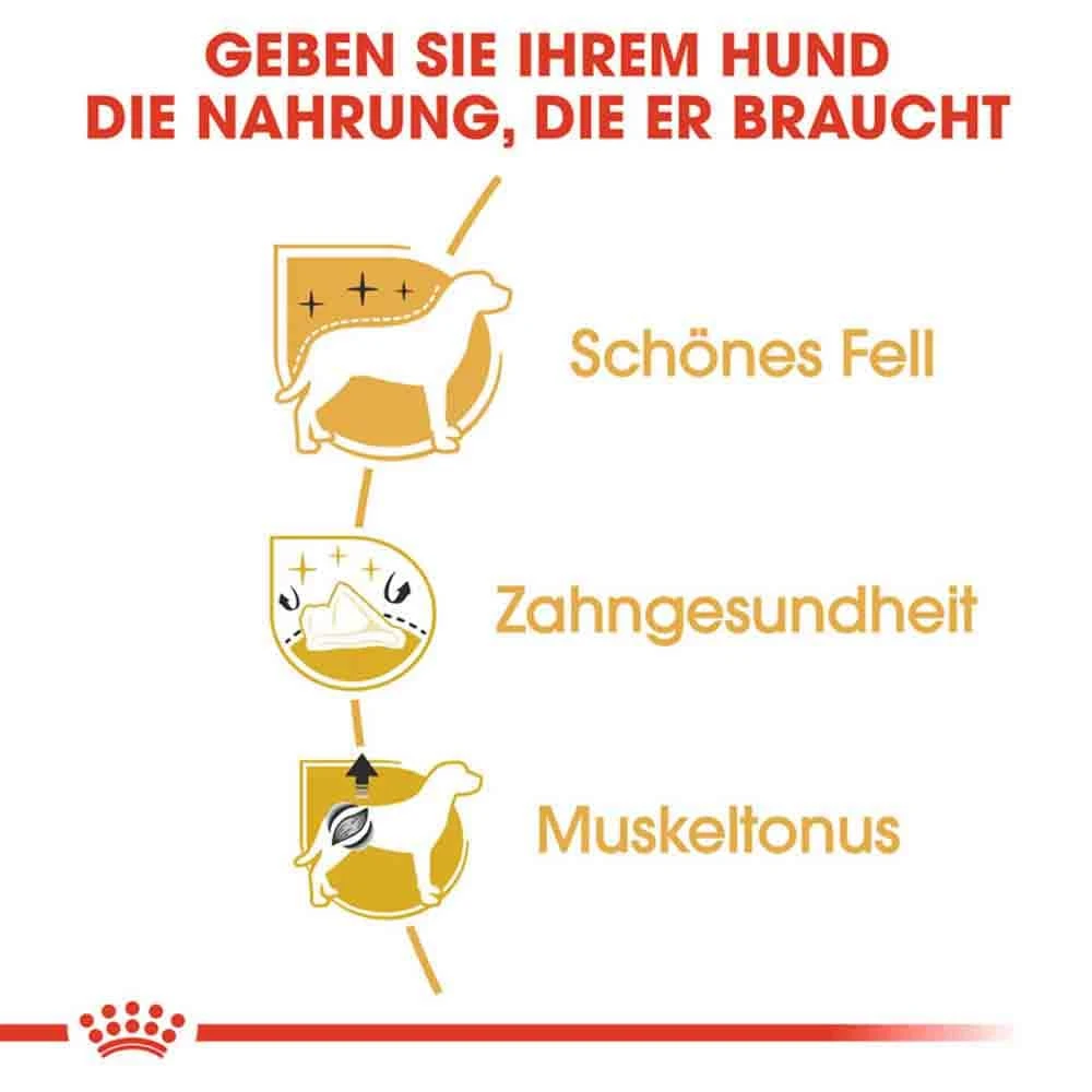 Royal Canin Poodle Adult Hundefutter Trocken 6 Royal Canin Poodle Adult Hundefutter Trocken – Bild 4