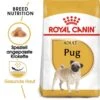 Royal Canin Pug Adult Hundefutter Trocken -Haustier Alles Verkaufsgeschäft 0054814 royal canin pug adult hundefutter trocken