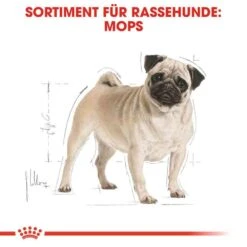 Royal Canin Pug Adult Hundefutter Trocken 11 Royal Canin Pug Adult Hundefutter Trocken -Haustier Alles Verkaufsgeschäft 0054816 royal canin pug adult hundefutter trocken