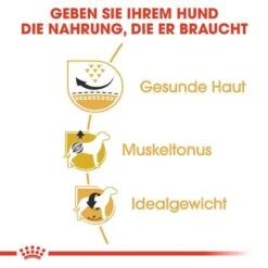 Royal Canin Pug Adult Hundefutter Trocken 12 Royal Canin Pug Adult Hundefutter Trocken -Haustier Alles Verkaufsgeschäft 0054817 royal canin pug adult hundefutter trocken