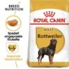 Royal Canin Rottweiler Adult Hundefutter Trocken 1 Royal Canin Rottweiler Adult Hundefutter Trocken -Haustier Alles Verkaufsgeschäft 0054821 royal canin rottweiler adult hundefutter trocken