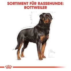 Royal Canin Rottweiler Adult Hundefutter Trocken -Haustier Alles Verkaufsgeschäft 0054823 royal canin rottweiler adult hundefutter trocken