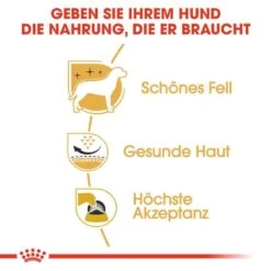 Royal Canin West Highland White Terrier Adult Hundefutter Trocken -Haustier Alles Verkaufsgeschäft 0054838 royal canin west highland white terrier adult hundefutter trocken
