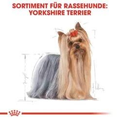Royal Canin Yorkshire Terrier Adult Hundefutter Trocken 11 Royal Canin Yorkshire Terrier Adult Hundefutter Trocken -Haustier Alles Verkaufsgeschäft 0054844 royal canin yorkshire terrier adult hundefutter trocken