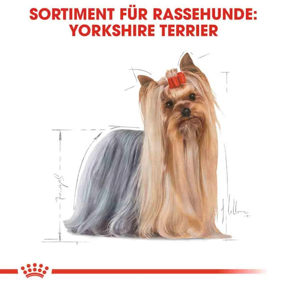 Royal Canin Yorkshire Terrier Adult Hundefutter Trocken 5 Royal Canin Yorkshire Terrier Adult Hundefutter Trocken – Bild 3
