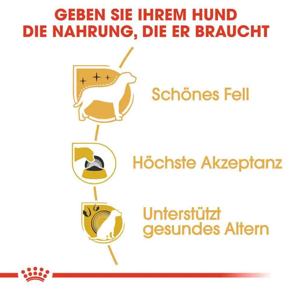 Royal Canin Yorkshire Terrier Adult Hundefutter Trocken 6 Royal Canin Yorkshire Terrier Adult Hundefutter Trocken – Bild 4