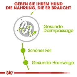 Royal Canin X-Small Adult Trockenfutter Für Sehr Kleine Hunde -Haustier Alles Verkaufsgeschäft 0054895 royal canin x small adult trockenfutter fur sehr kleine hunde