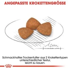 Royal Canin X-Small Ageing 12+ Trockenfutter Für ältere Sehr Kleine Hunde -Haustier Alles Verkaufsgeschäft 0054902 royal canin x small ageing 12 trockenfutter fur altere sehr kleine hunde