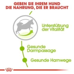 Royal Canin X-Small Ageing 8+ Trockenfutter Für ältere Sehr Kleine Hunde -Haustier Alles Verkaufsgeschäft 0054908 royal canin x small ageing 8 trockenfutter fur altere sehr kleine hunde