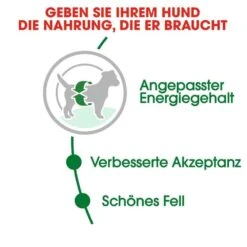 Royal Canin Mini Adult Trockenfutter Für Kleine Hunde -Haustier Alles Verkaufsgeschäft 0054912 royal canin mini adult trockenfutter fur kleine hunde