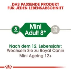 Royal Canin Mini Adult 8+ Trockenfutter Für ältere Kleine Hunde 11 Royal Canin Mini Adult 8+ Trockenfutter Für ältere Kleine Hunde -Haustier Alles Verkaufsgeschäft 0054924 royal canin mini adult 8 trockenfutter fur altere kleine hunde