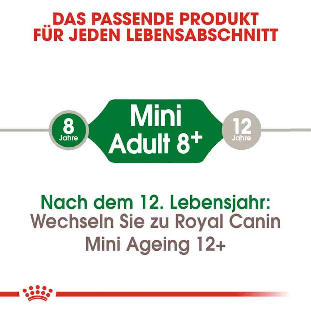 Royal Canin Mini Adult 8+ Trockenfutter Für ältere Kleine Hunde 5 Royal Canin Mini Adult 8+ Trockenfutter Für ältere Kleine Hunde – Bild 3