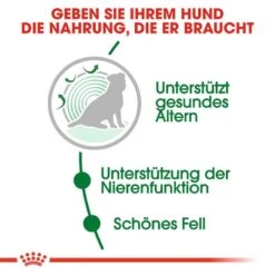 Royal Canin Mini Adult 12+ Trockenfutter Für ältere Kleine Hunde -Haustier Alles Verkaufsgeschäft 0054928 royal canin mini adult 12 trockenfutter fur altere kleine hunde