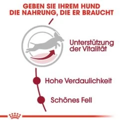 Royal Canin Medium Adult 7+ Trockenfutter Für ältere Mittelgroße Hunde -Haustier Alles Verkaufsgeschäft 0054943 royal canin medium adult 7 trockenfutter fur altere mittelgrose hunde