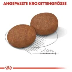 Royal Canin Medium Adult 7+ Trockenfutter Für ältere Mittelgroße Hunde -Haustier Alles Verkaufsgeschäft 0054945 royal canin medium adult 7 trockenfutter fur altere mittelgrose hunde