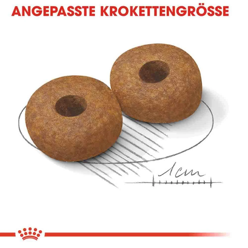 Royal Canin Medium Adult 10+ Trockenfutter Für ältere Mittelgroße Hunde 7 Royal Canin Medium Adult 10+ Trockenfutter Für ältere Mittelgroße Hunde – Bild 5
