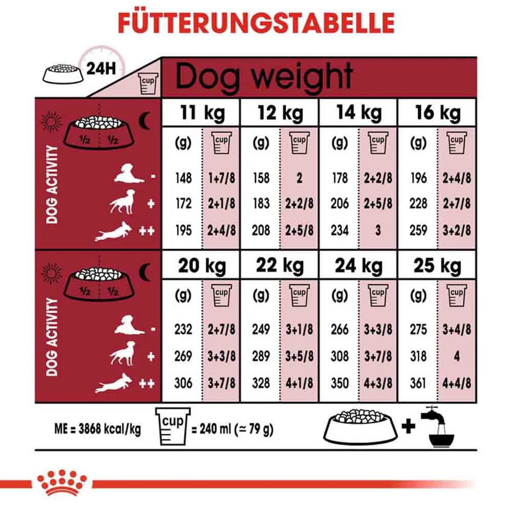 Royal Canin Medium Adult 10+ Trockenfutter Für ältere Mittelgroße Hunde 8 Royal Canin Medium Adult 10+ Trockenfutter Für ältere Mittelgroße Hunde – Bild 6