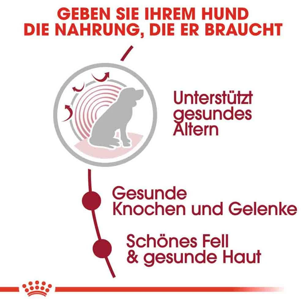 Royal Canin Medium Adult 10+ Trockenfutter Für ältere Mittelgroße Hunde 6 Royal Canin Medium Adult 10+ Trockenfutter Für ältere Mittelgroße Hunde – Bild 4